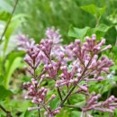 공암나루근린공원 이미지