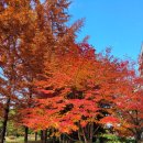 고운선율피아노 이미지