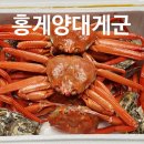 홍게양대게군 이미지