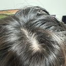 이안상사 이미지