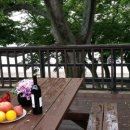 핑키마린펜션 이미지