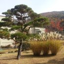 형주병원