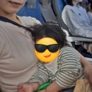 꿈의 비행 | 싱가포르항공 아기랑 부산 직항 후기ㅣ23개월 배시넷·기내식 신청·유모차 팁