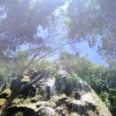 스카이보다미술학원 이미지