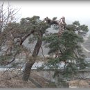 광산마을 이미지