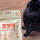 차오펫(ciao pet) | 베이펫 냥이 찜했닭 후기