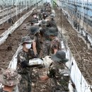 조태형농장 이미지