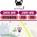펫콩 이미지