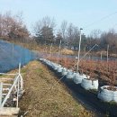 노두농장 이미지