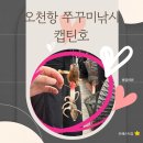 오천항 선상(배)낚시 캡틴호 쭈꾸미 조황 내돈내산후기