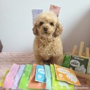 순둥이한끼 | 강아지 화식 추천-[도거박스] 저단저지 화식 샘플팩 급여 후기