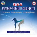 국제키즈태권도 이미지