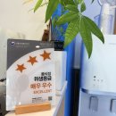 피자알볼로 청송진보점