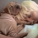 가호메디칼 네이버블로그