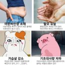 탑점핑다이어트 - 동구 | 탑점핑다이어트