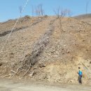 돌배마을협동조합 이미지