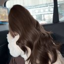체스미용실 네이버블로그