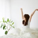 편안한 수면센터 이미지