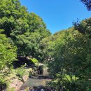 괴산관광지공용주차장 이미지