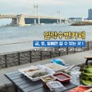 부산 가볼만한곳 민락수변공원 밀락수변카페 솔직후기 (주차, 운영시간 등 꿀팁)