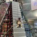 시성 | 부산 키즈카페 추천, 챔피언 롯데백화점 광복점 실내놀이터 6살후기