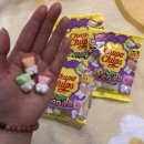 야미바크 | 3월 봄은 온다