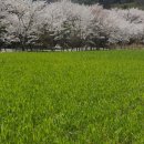 성주호 둘레길 독용산성길 코스 이미지