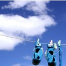 드라이홈패션 이미지