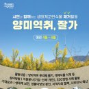 낙동강관리본부 이미지