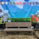 [인천 강화군] 더숲관광농원캠핑장