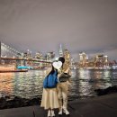 엠에프씨주식회사(서울지점) | 미국 뉴욕 겨울 여행 날씨 &amp; 코스 추천 : 맨하탄 시티 투어, 자유의 여신상 페리, 미드타운 야경