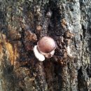 늘사랑유치원 이미지