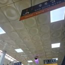 수수국수 | 영월 서부시장 전병 후포집 – 메밀전병, 올챙이국수, 수수부꾸미 흡입 후기