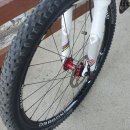 룩손티탄 자전거판매 이미지