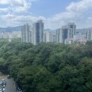 벽산보라부동산공인중개사사무소 | 📌 새터마을 죽전힐스테이트 요즘 근황 — 숲 전망부터 지하주차장 대변신까지
