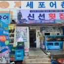 신선횟집 - 거제시 교항2길 14-1 | 신선횟집