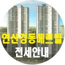 연제구청(서면 방면) 이미지