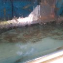 대구대물피싱 이미지