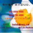 허브애 이미지