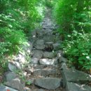 법수농원 | 070612백동마을~천성1봉~운봉산~남락고개~자두농원~계명봉