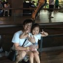 청운싸이언스 이미지