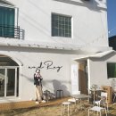 AND ROY(앤드로이)