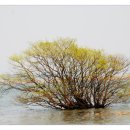 북창원IC주유소 이미지