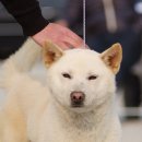 신사2-010 이미지