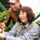 산청군농협주유소 이미지