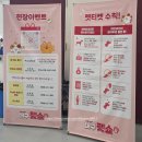 ［롱런］반려동물미용사 | 대구 펫쇼 2025 멍멍야옹 엑스코 반려동물 박람회 주차장 후기