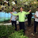 KT곡성지사 이미지