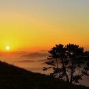 서광목장 이미지