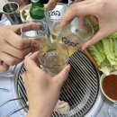 잔비어 | 사상 야장, 노상술집 밀양꼬리식당, 잔비어 후기