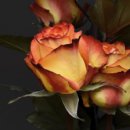 공인중개사이명동사무소 이미지